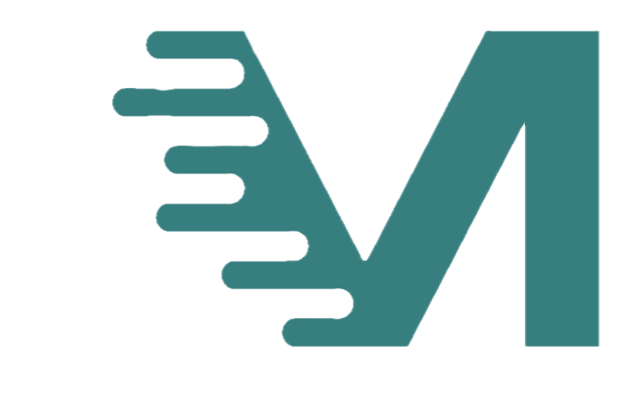 Velocity Manager logo